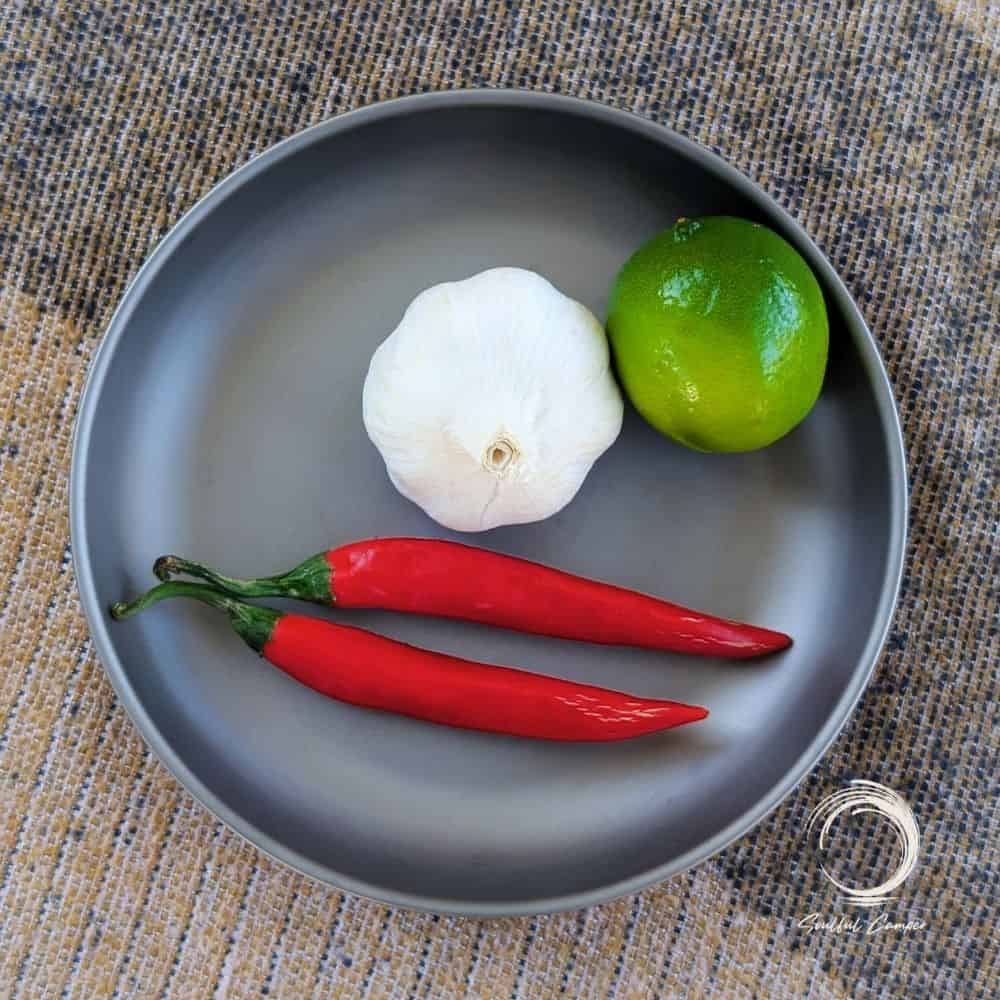 Top-down view of titanium plate with garlic, chili, and lime.